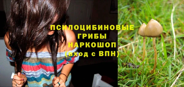 гидропоника Алзамай