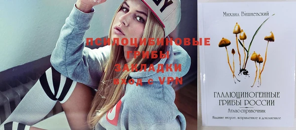 ешки Алексеевка