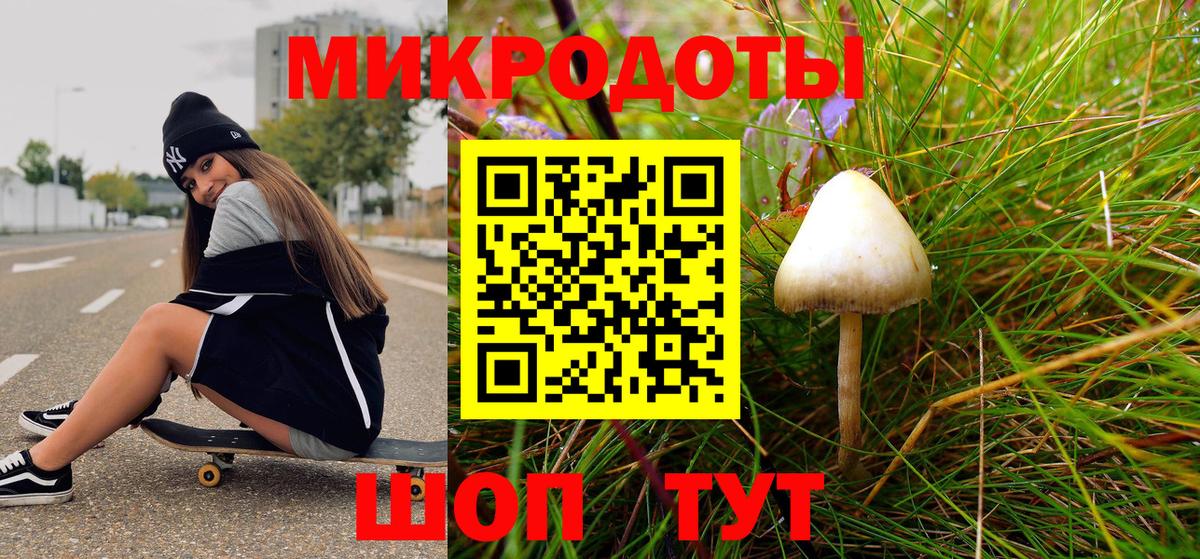 Галлюциногенные грибы прущие грибы Ставрополь